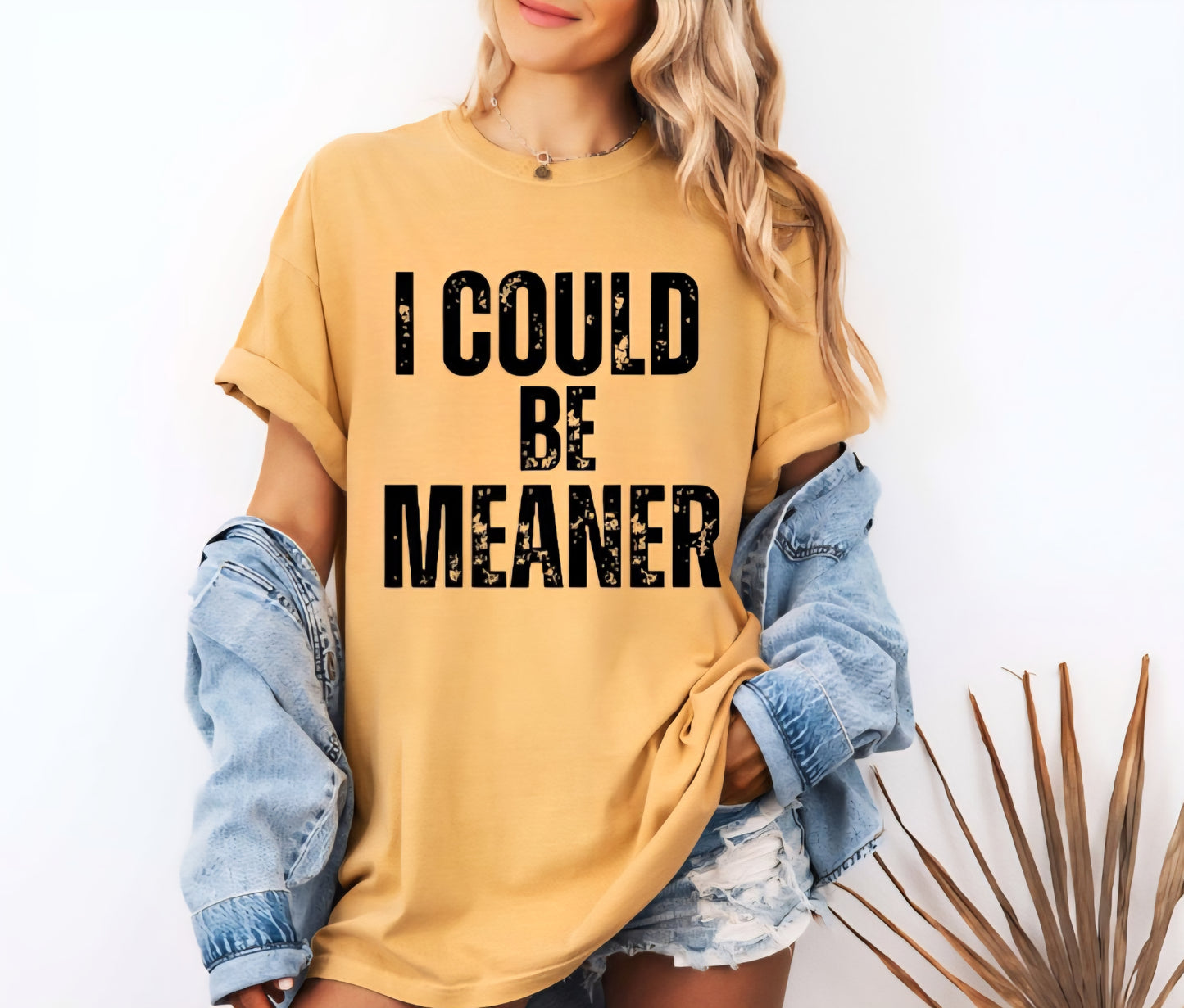 I Could Be Meaner Tshirt or Sweatshirt