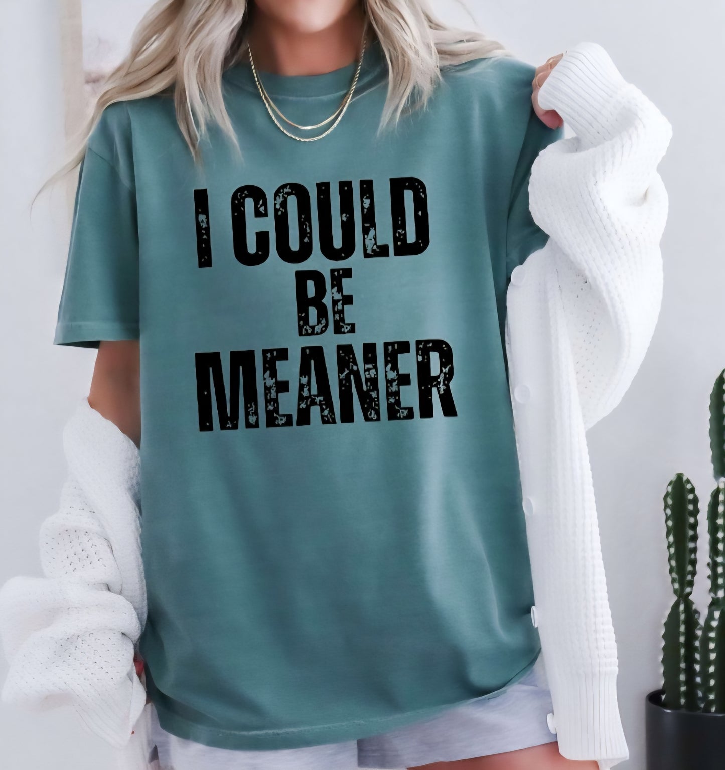 I Could Be Meaner Tshirt or Sweatshirt