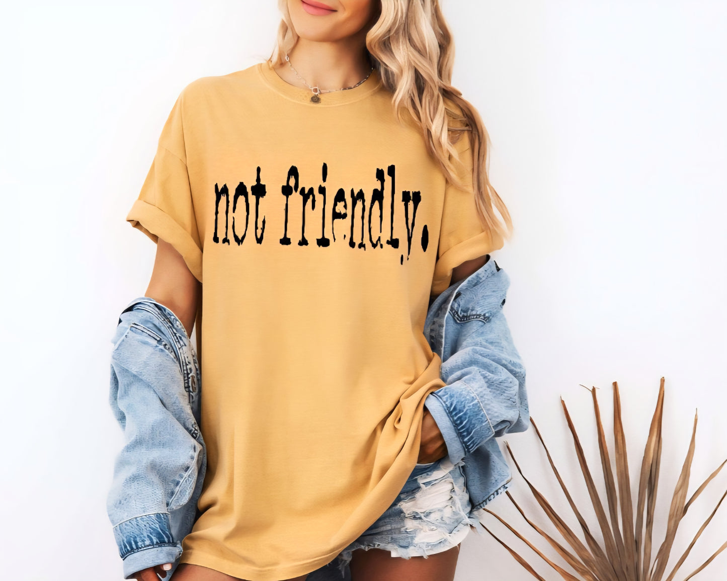 Not Friendly Funny T-shirt Comfort Colors 100%cotton