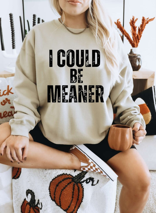 I Could Be Meaner Tshirt or Sweatshirt