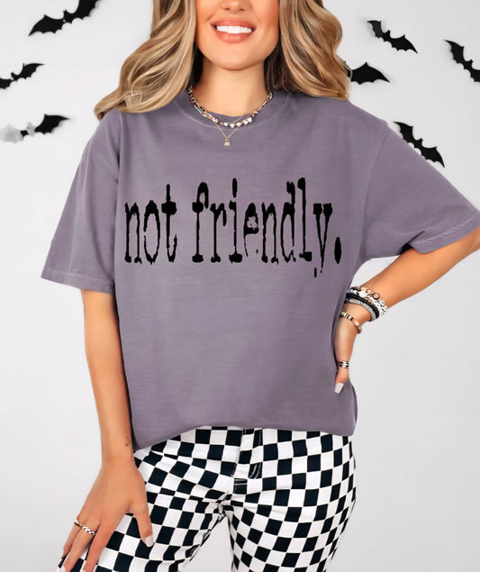 Not Friendly Funny T-shirt Comfort Colors 100%cotton