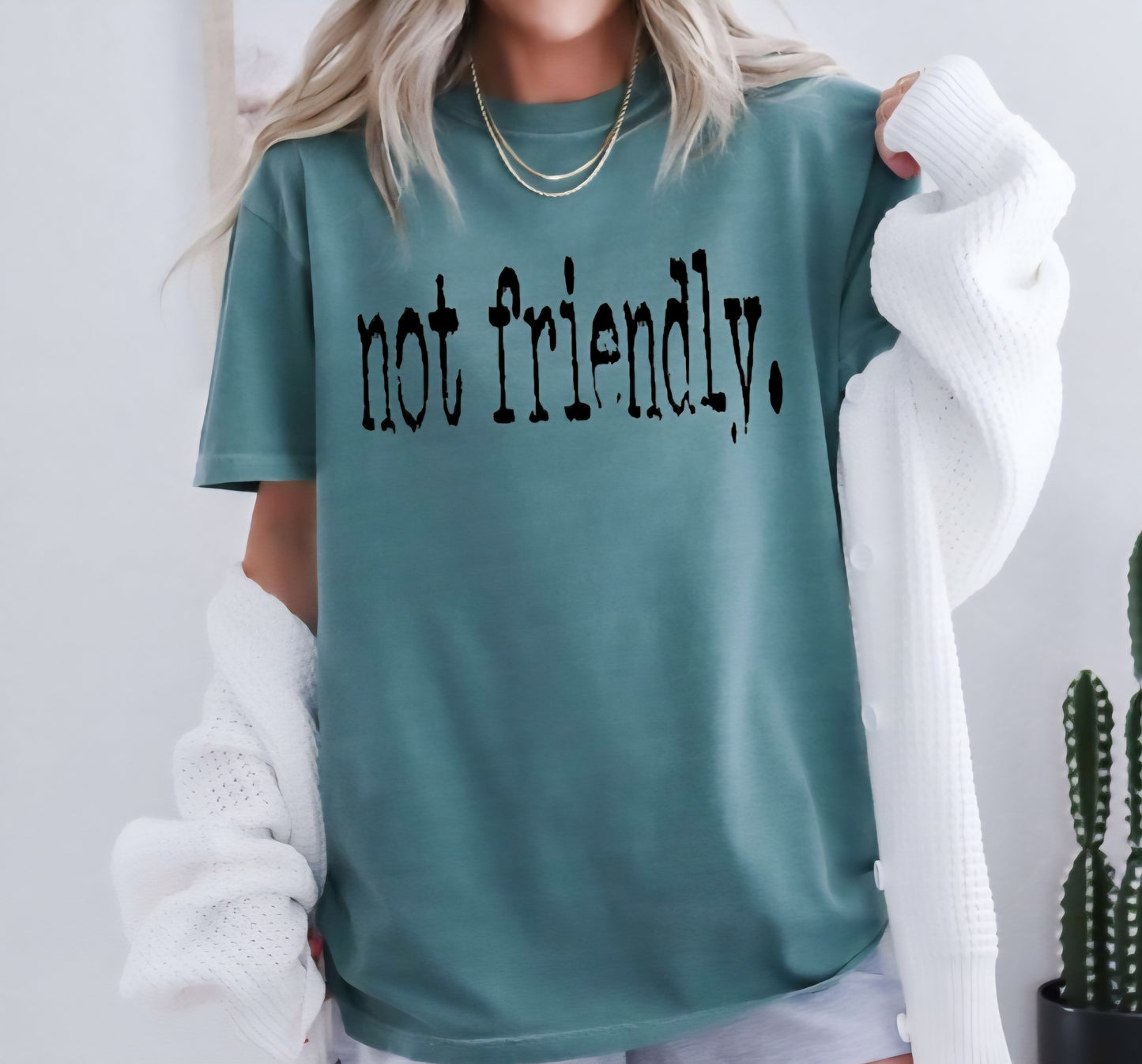 Not Friendly Funny T-shirt Comfort Colors 100%cotton